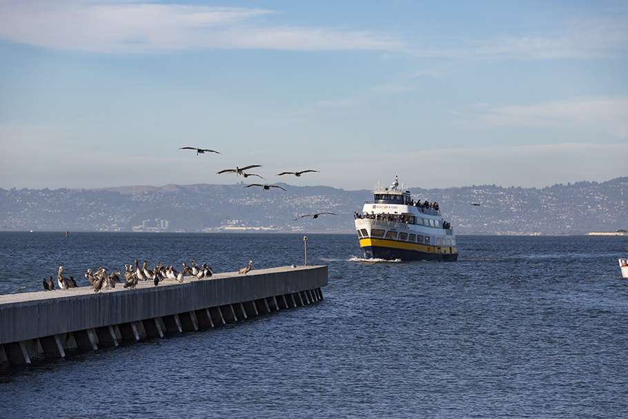 Pier 39, San Francisco, 2018